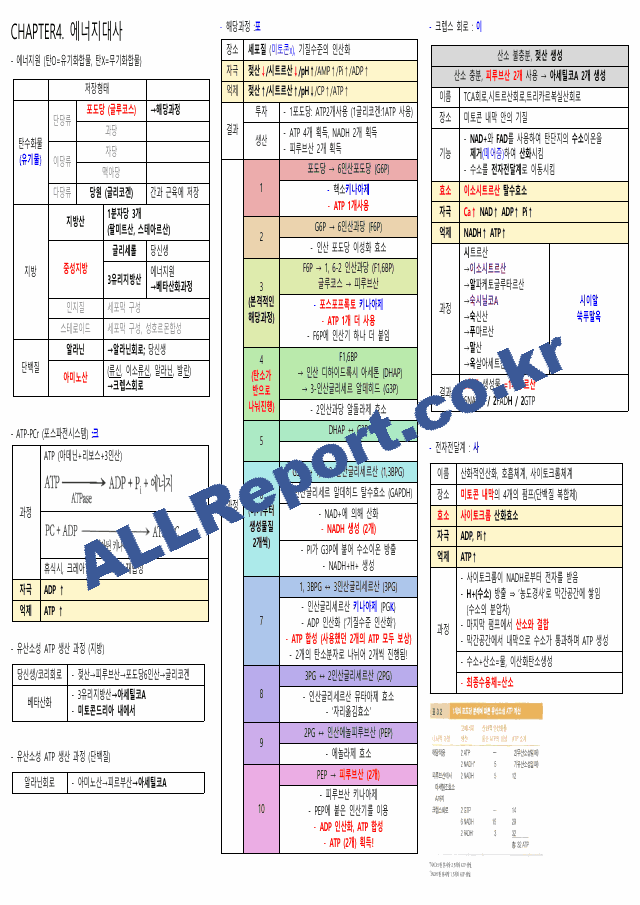 생리학 요약본(시험관련) 카셉운동사 (4 페이지)